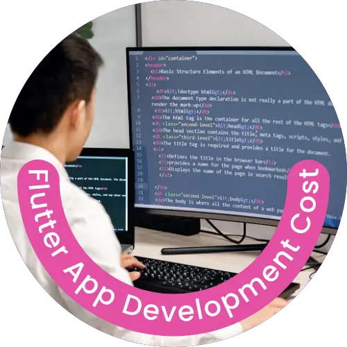 Flutter-App-Developer-Profile.webp